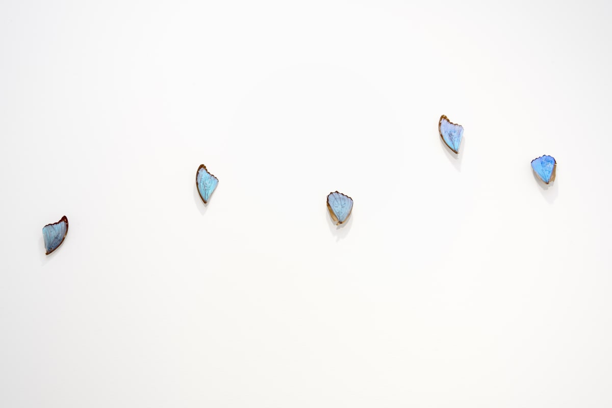 Patrick Neu : « Certains y voient des sexes, des masques, des danseuses »