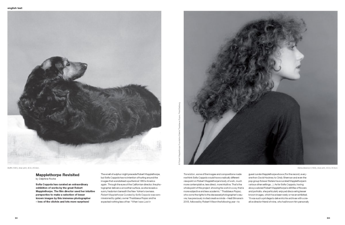 Mapplethorpe Revisited