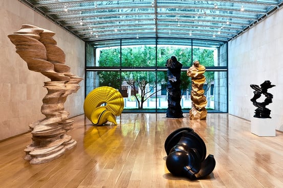 Beauty That's No Illusion