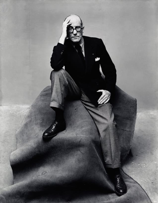 Irving Penn en force à la MEP