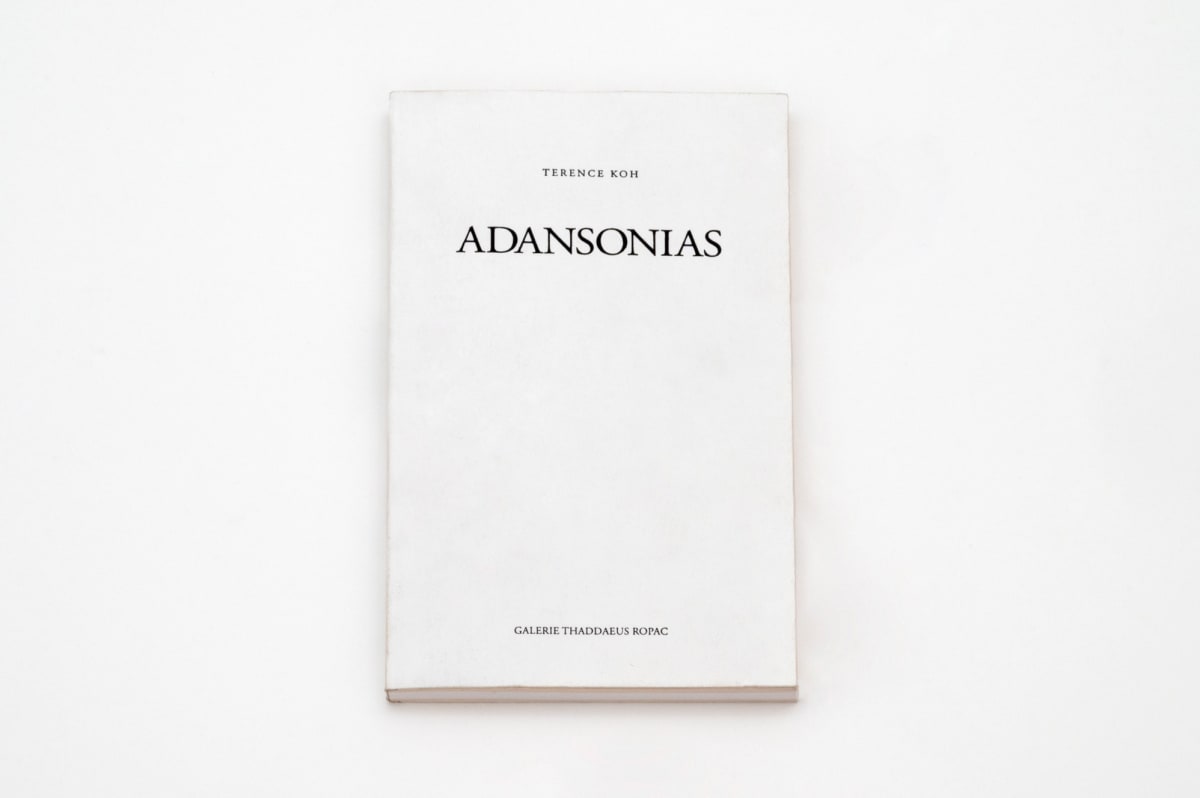 Adansonias Terence Koh