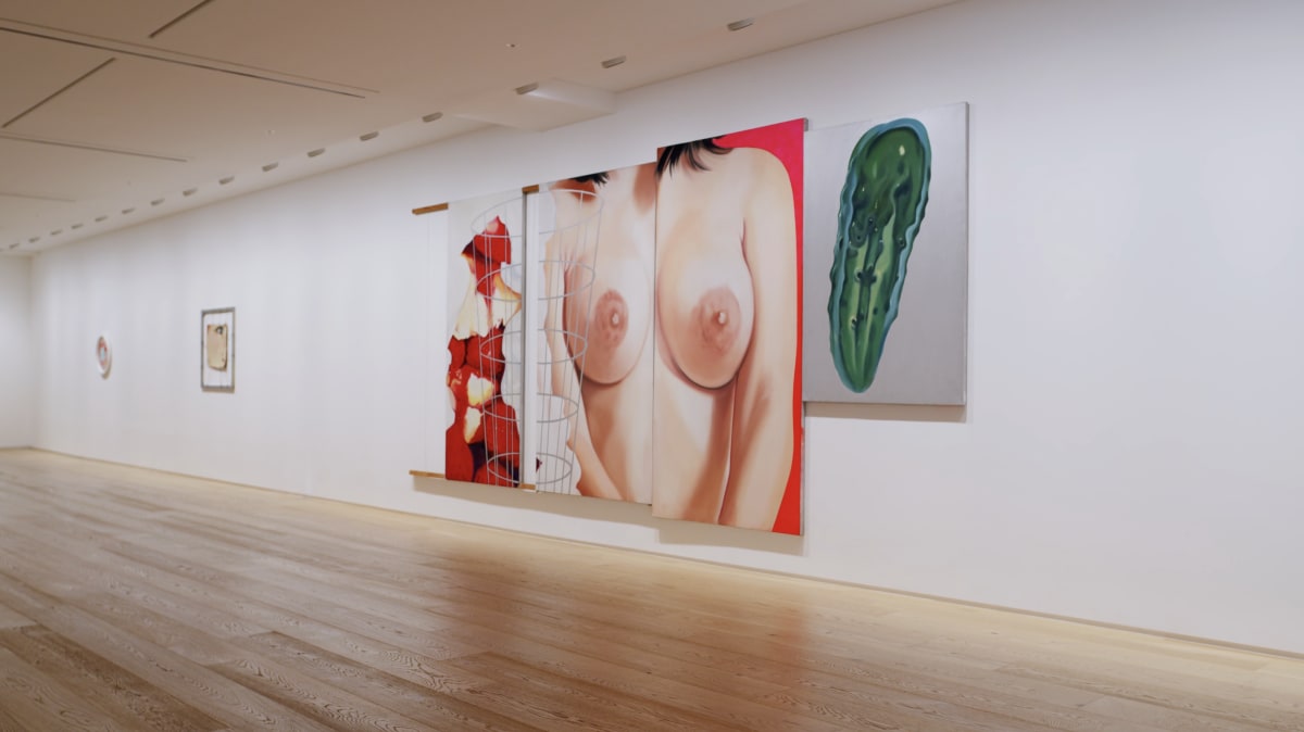 James Rosenquist Dream World: Paintings, drawings and collages, 1961–1968