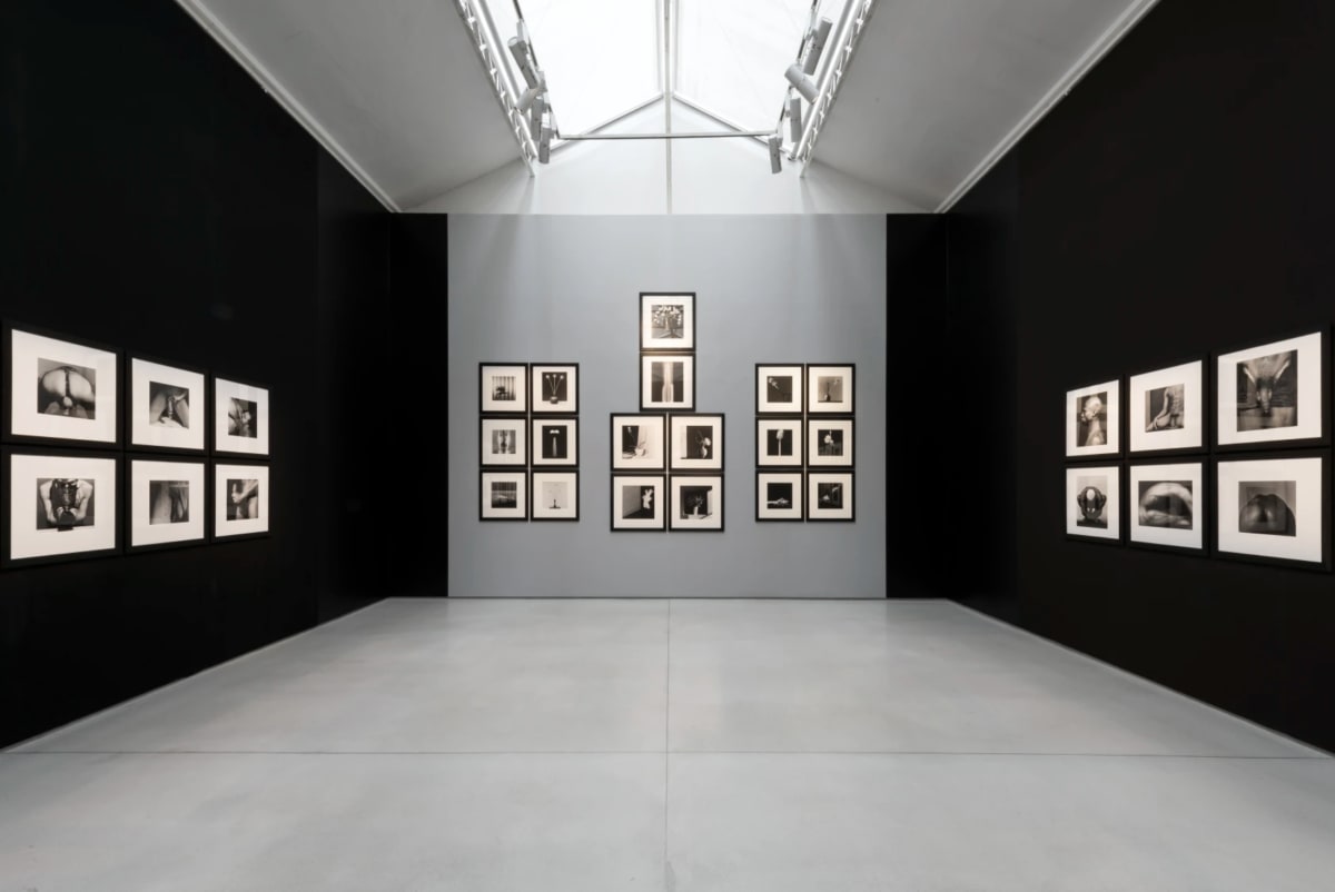 Robert Mapplethorpe XYZ Curated by Peter Marino