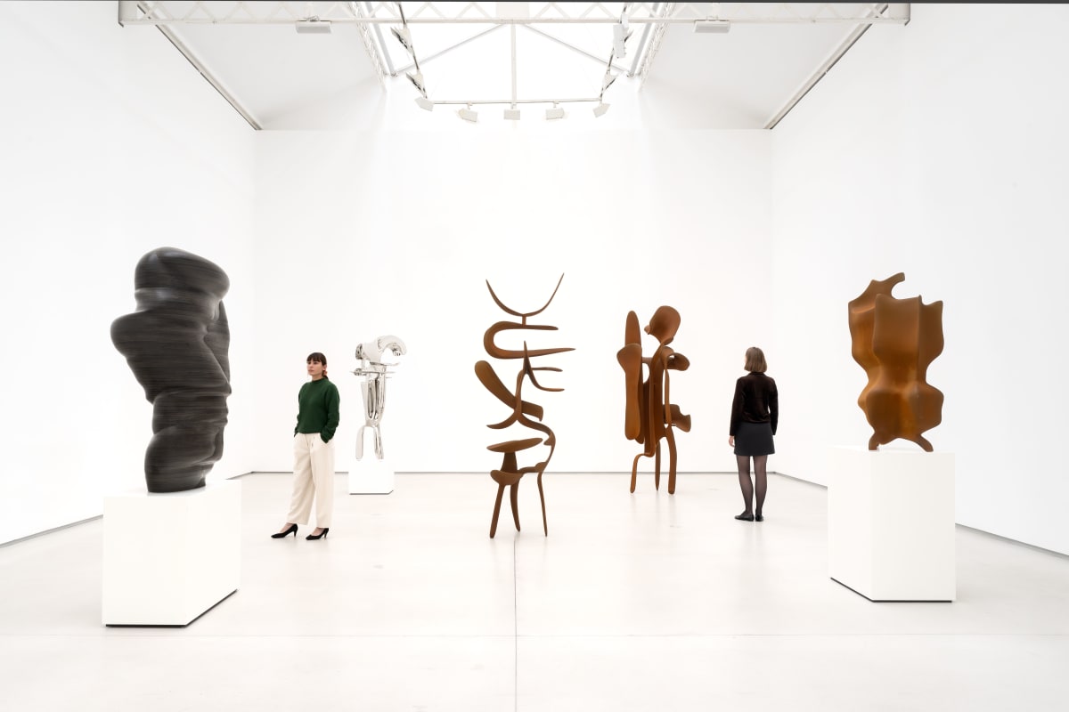 Tony Cragg New sculptures