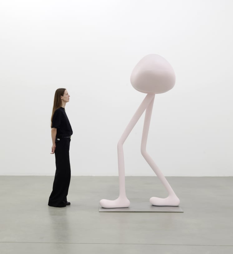 Erwin Wurm Mindset