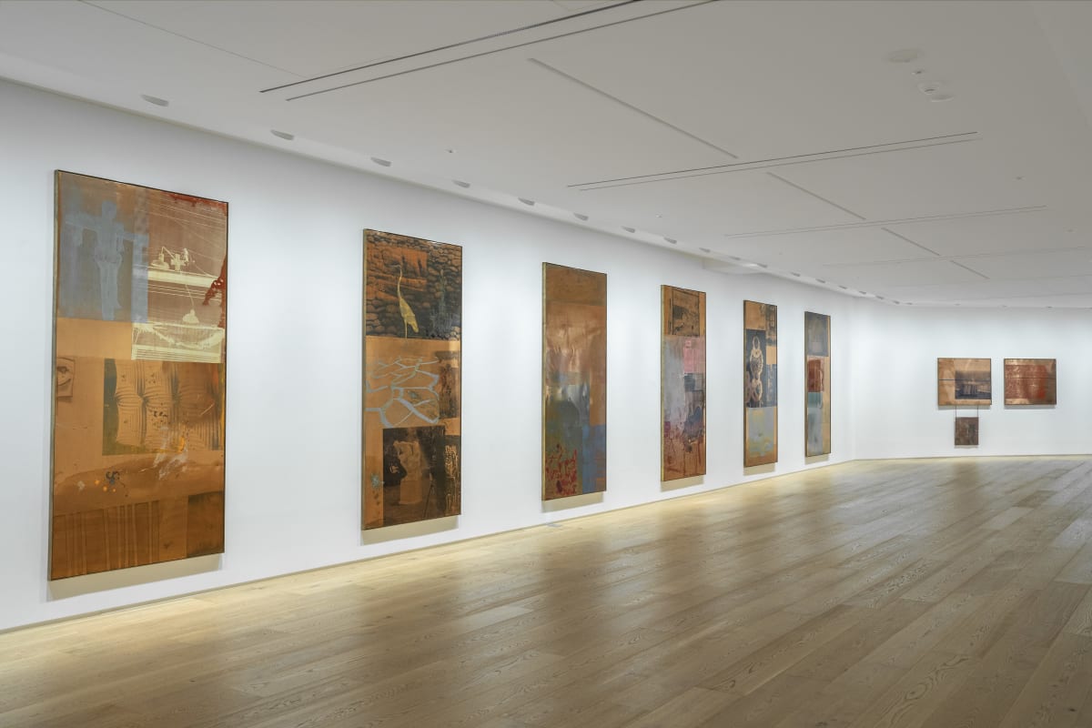 Robert Rauschenberg 로버트 라우센버그 Copperheads 1985/1989