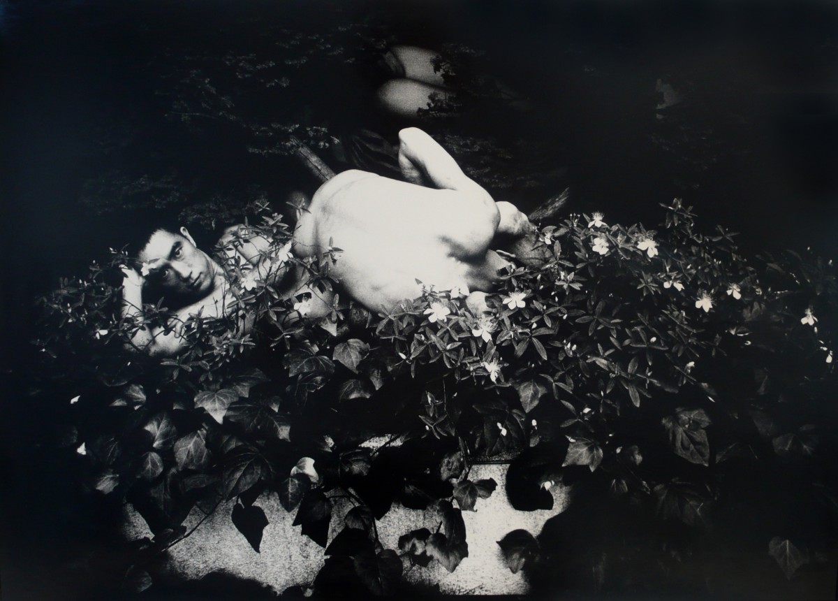 Risultati immagini per Eikoh Hosoe