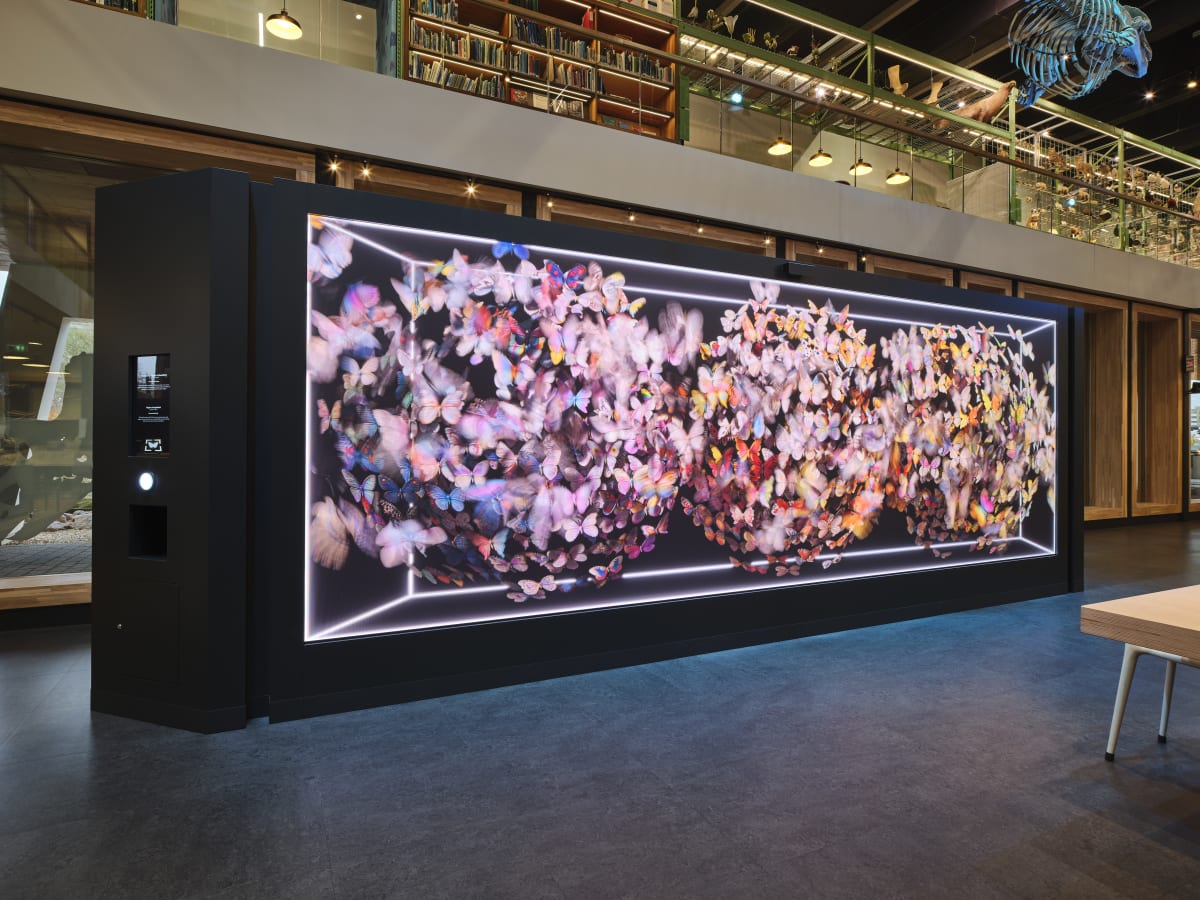 Origins of Imagination by Dominic Harris Halcyon launches major Dominic Harris artwork in collaboration with the Moveo Art Collection and...