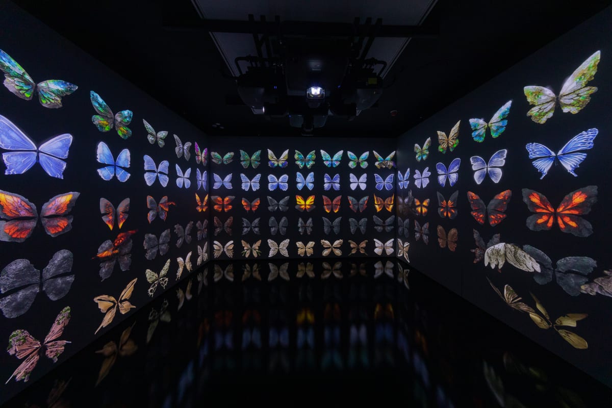 The Times Reality Bytes