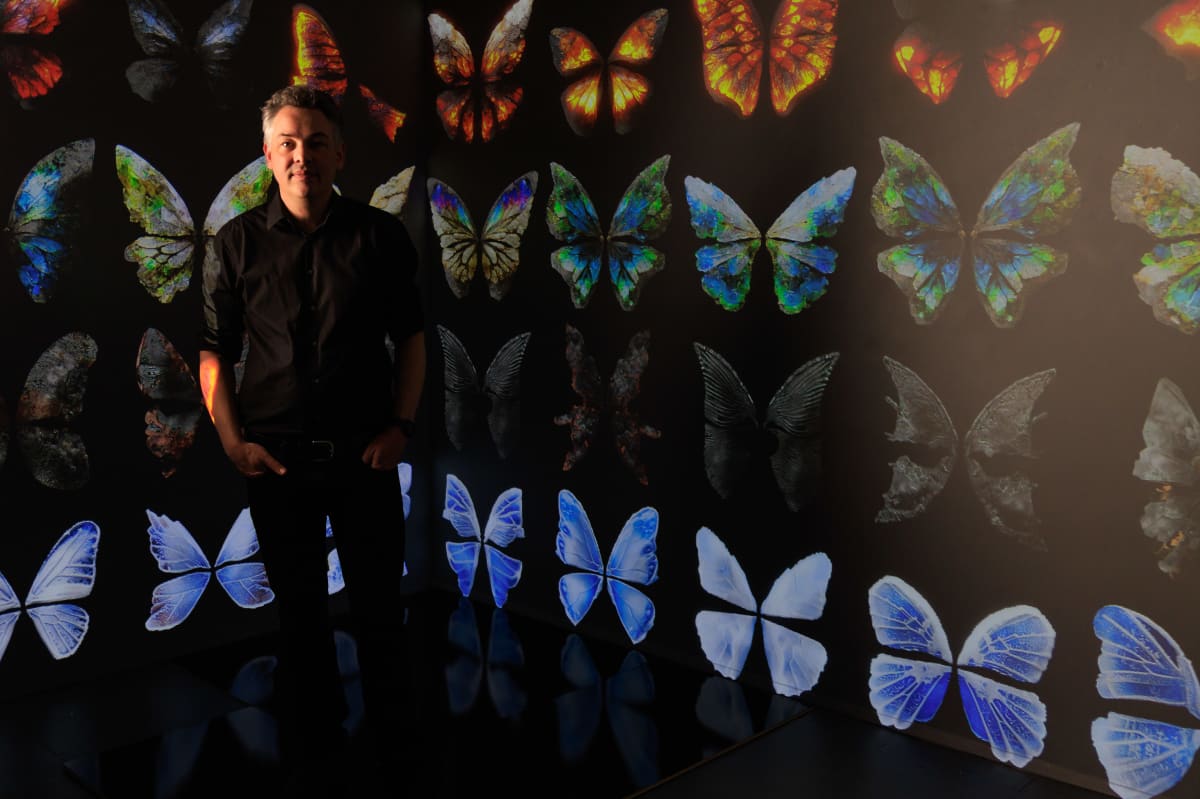 Artnet 7 Questions for Artist Dominic Harris on ‘Humanizing the Digital’ Through His Interactive Artworks.