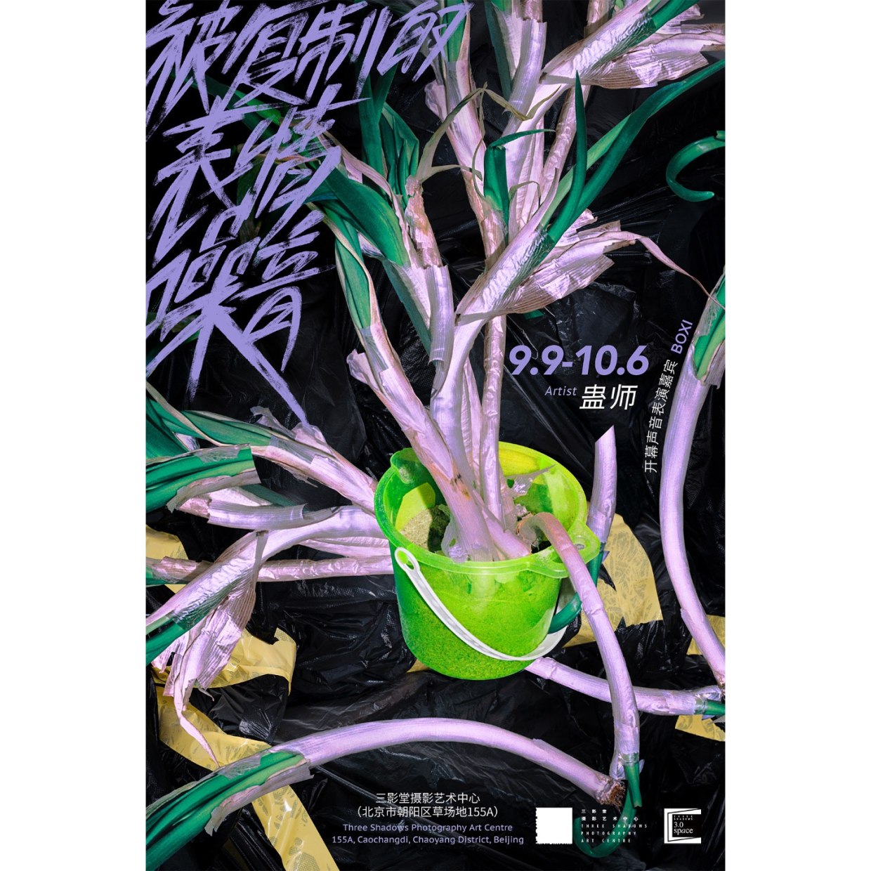 Reproduced Emoji Noise —— Wizard Tang’s Solo Exhibition