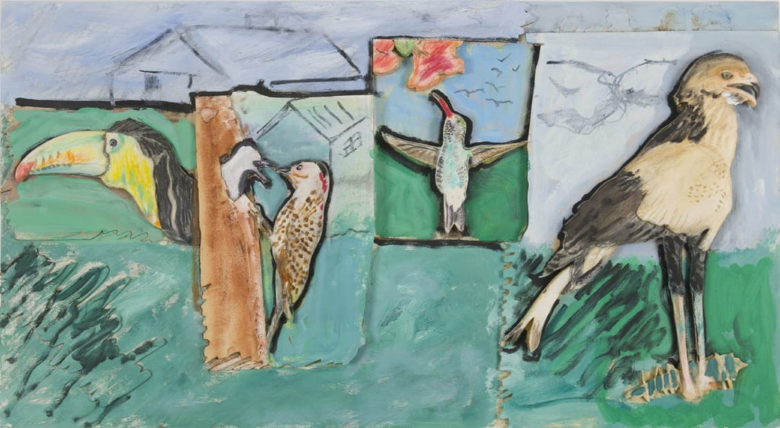 Toucan, Woodpecker, Humming, Secretary Birds, 1990