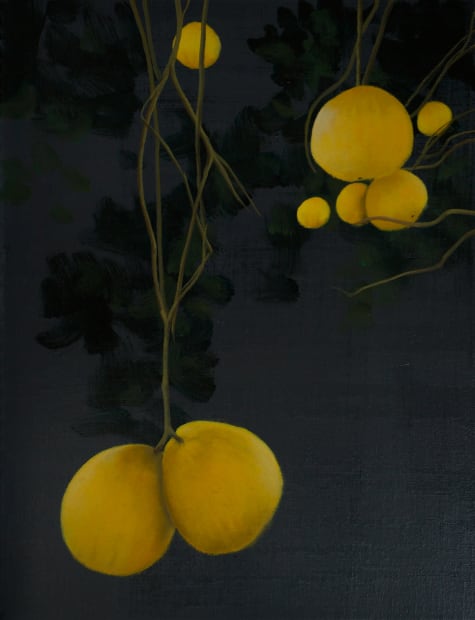 宋宛瑾 Song Wanjin, 柚子树 13 Pomelo Tree 13, 2024