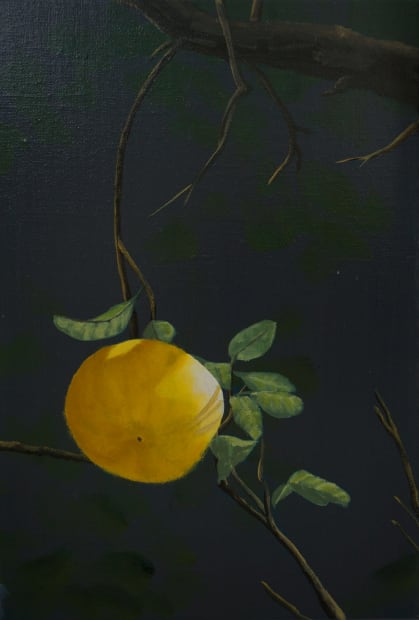宋宛瑾 Song Wanjin, 柚子树 14 Pomelo Tree 14, 2024