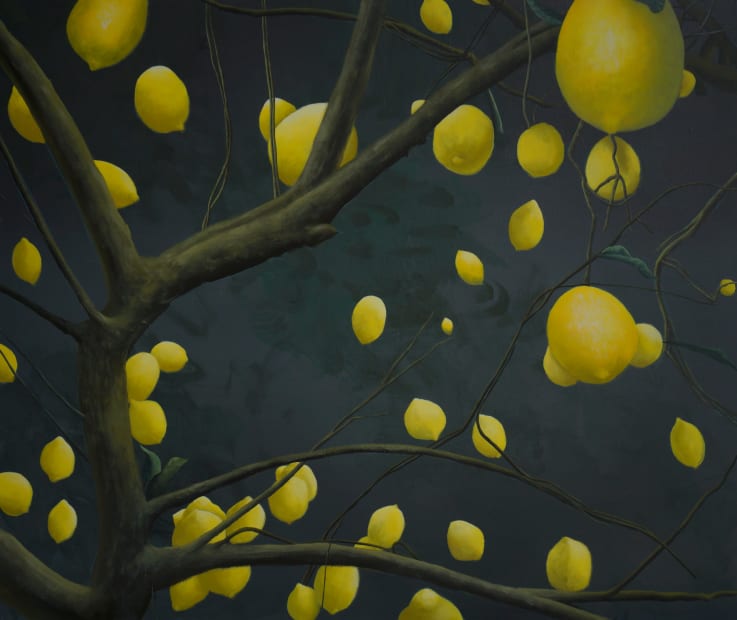 宋宛瑾 Song Wanjin, 柠檬树 3 Lemon Tree 3, 2024