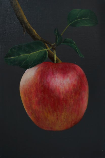 宋宛瑾 Song Wanjin, 苹果树 1 Apple Tree 1, 2024