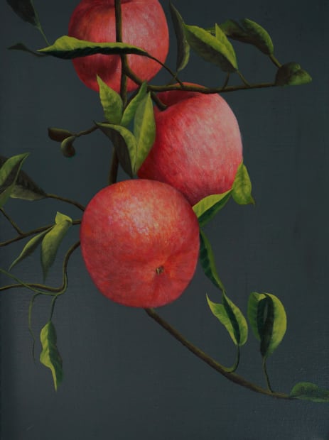 宋宛瑾 Song Wanjin, 苹果树 2 Apple Tree 2, 2024