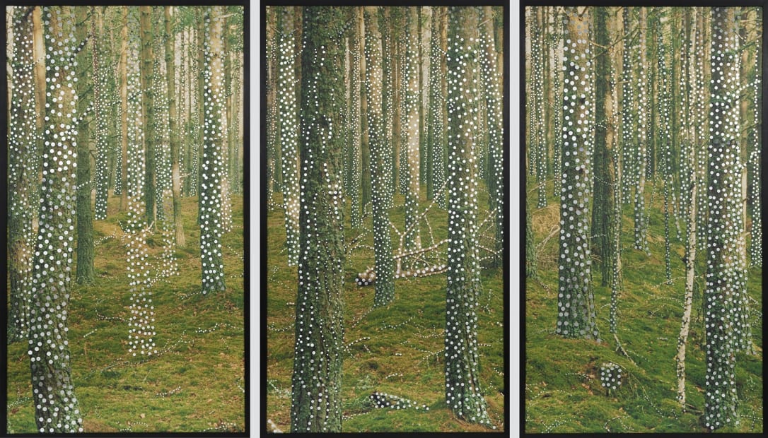 from the series Forests, 2000