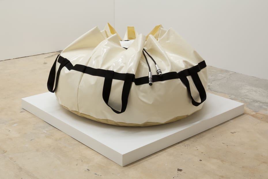 Untitled (Bag), 2020