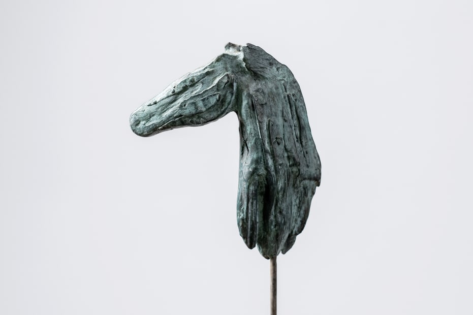Horse V , 2009