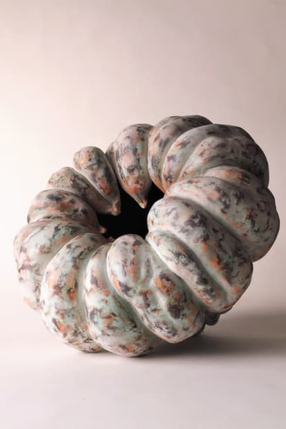 Akoda pumpkin, 2018