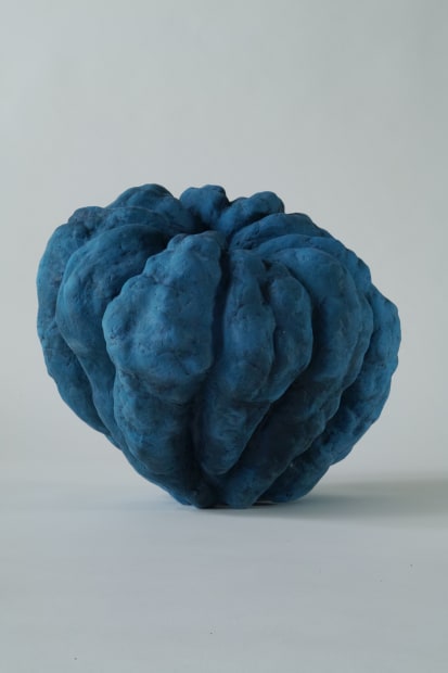 "Akoda" Pumpkin blue , 2024