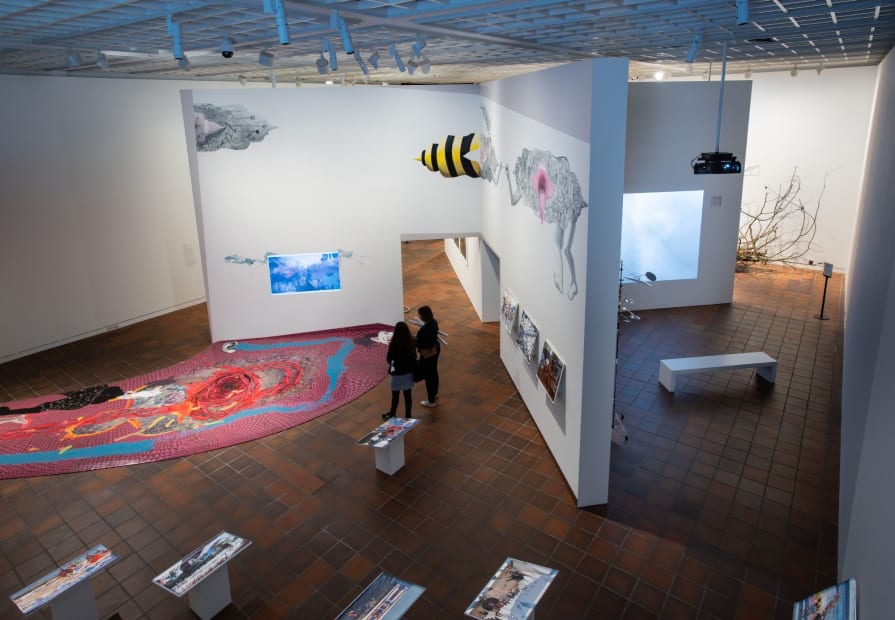 Homeless Souls, 2019