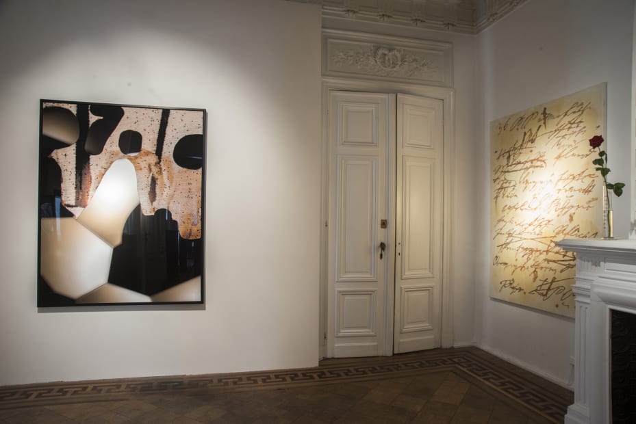 ''Dark Ages'' / exhibition view at Aeroplastics, Rue Blanche Str., 2015-2016 / works by Daniele BUETTI and László LAKNER
