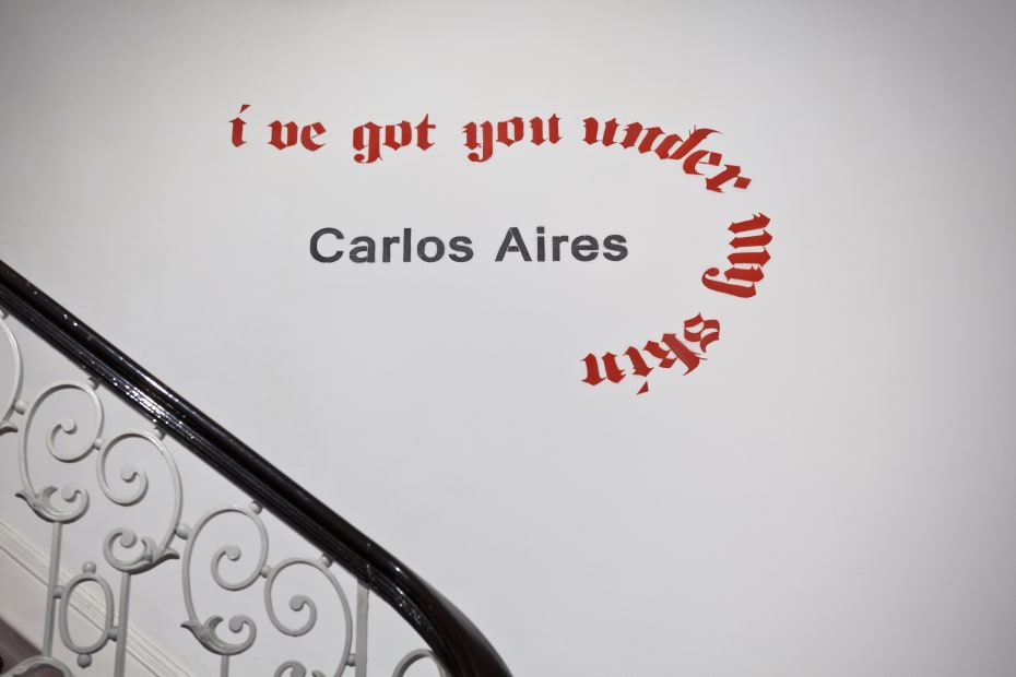 Carlos Aires 'I've got you under my skin' installation view at Aeroplastics, Rue Blanche, 2011