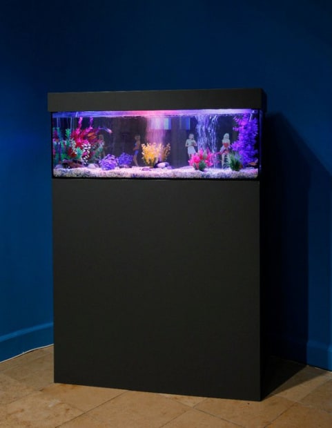 Pierrick Sorin 'C'est mignon tour ça': exhibition view Aeroplastics, Rue Blanche Str., Brussels, 2010 / 'Aquarium aux danseuses', 2010