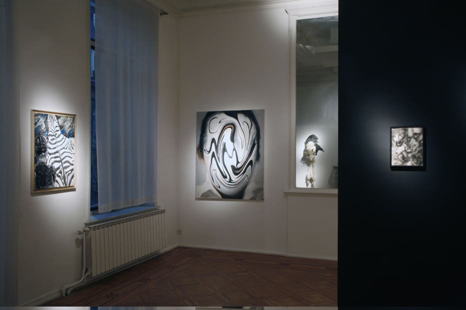 exhibition view 'In my solitude' / Aeroplastics, Rue Blanche, 2007-2008. Ph: Vincent Everarts / works by Chen Wei (x 2), Bonnie Collura (mirror), Gao Shi Qiang
