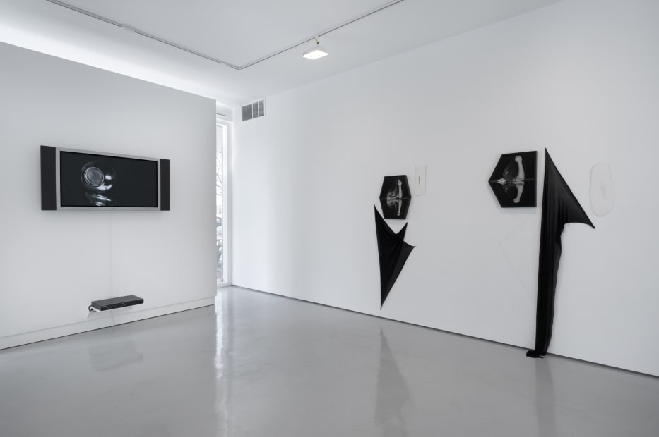 Sheree Hovsepian: Haptic Wonders at Monique Meloche Gallery, Chicago