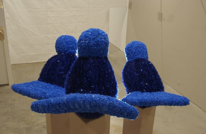 Bluebird Burden, 2004, installation view Monique Meloche Gallery