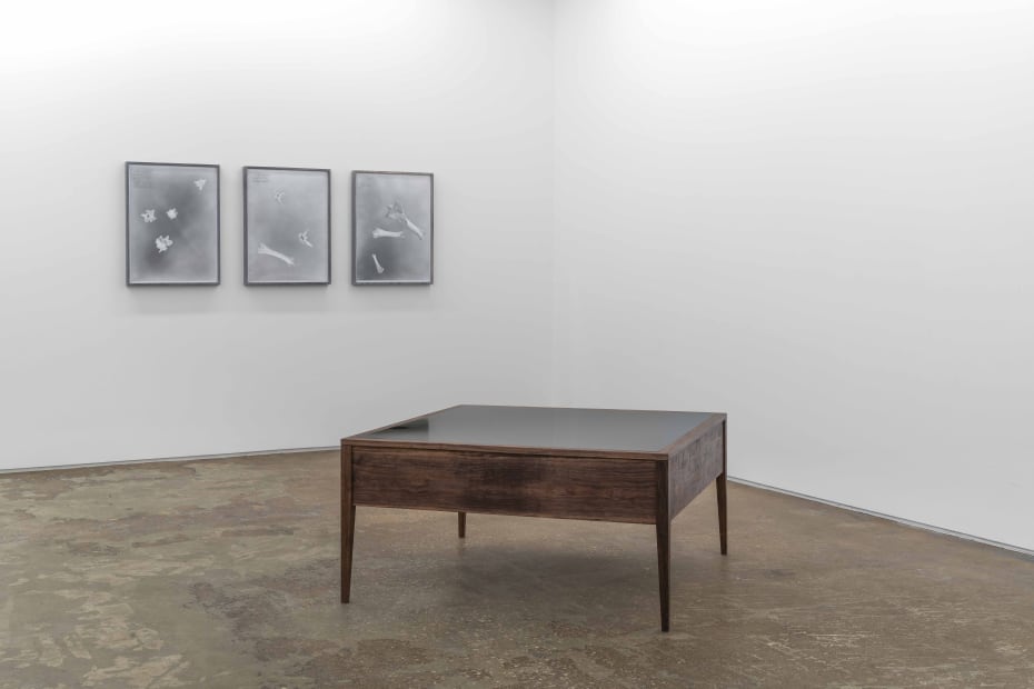Nate Young: The Transcendence of Time at Monique Meloche Gallery, Chicago
