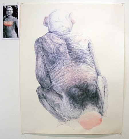 Alison Ruttan, Double Display, 2005, Ink and watercolor on paper, digital composite photo on archival paper, dimensions variable
