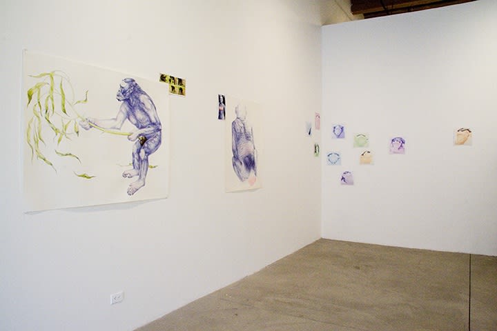 Alison Rutttan, installation view