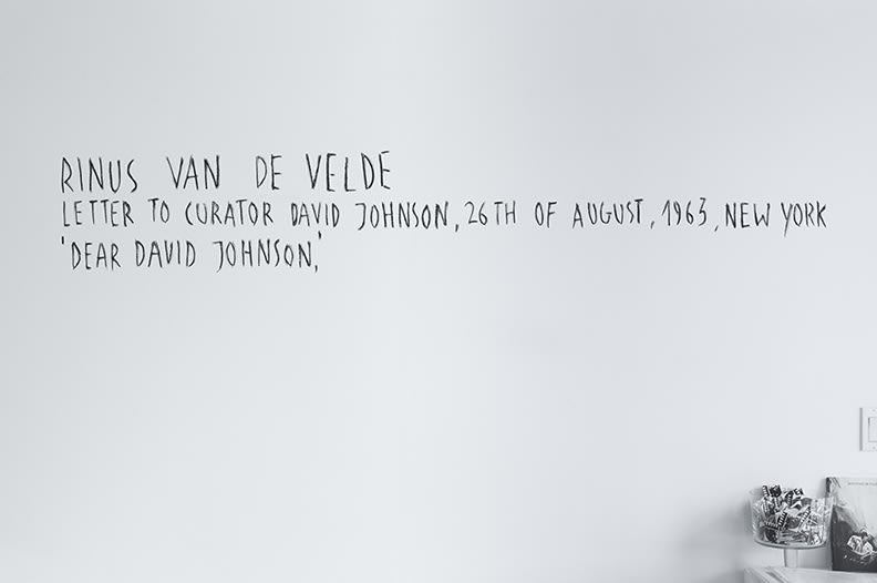 Rinus Van de Velde: Dear David Johnson, at Monique Meloche Gallery Chicago