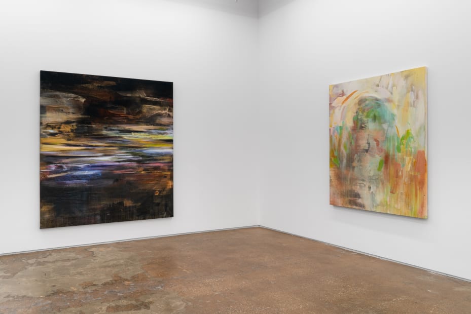Installation view, Ben Murray: If I Needed You, January 9-February 13