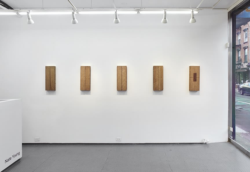 Nate Young at Monique Meloche Gallery LES, New York