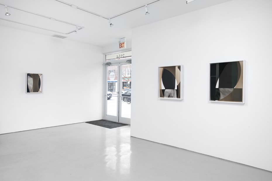 Sheree Hovsepian: The Altogether. at Monique Meloche Gallery, Chicago