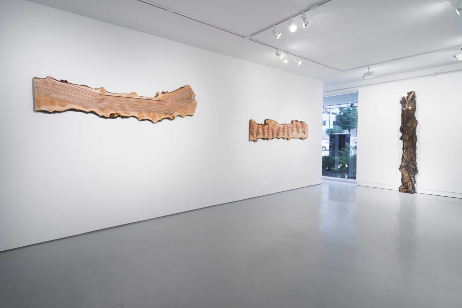 Jason Middlebrook: There is a map in every tree at Monique Meloche Gallery, Chicago