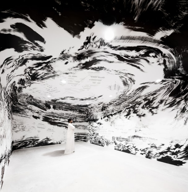 NEITHER THE SKY NOR THE EARTH, 2017