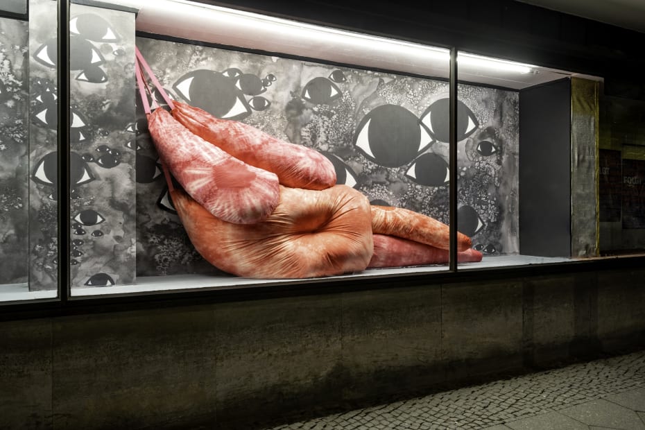 Corps (in)visbles, 2021 Installation view at Institut français Berlin, Germany Photo by Ivo Gretener