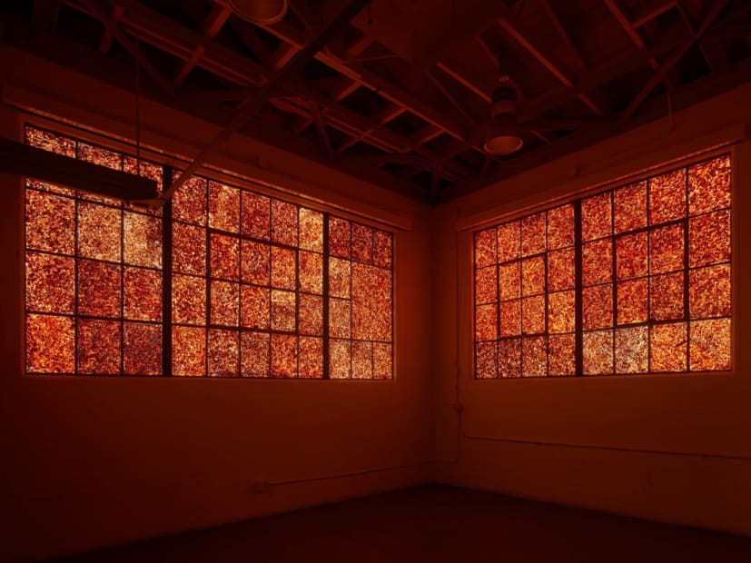 Installation view of Andy Goldsworthy: Firehouse, March 12 - 23, 2022 at The Firehouse at Fort Mason Photo: Robert Divers Herrick