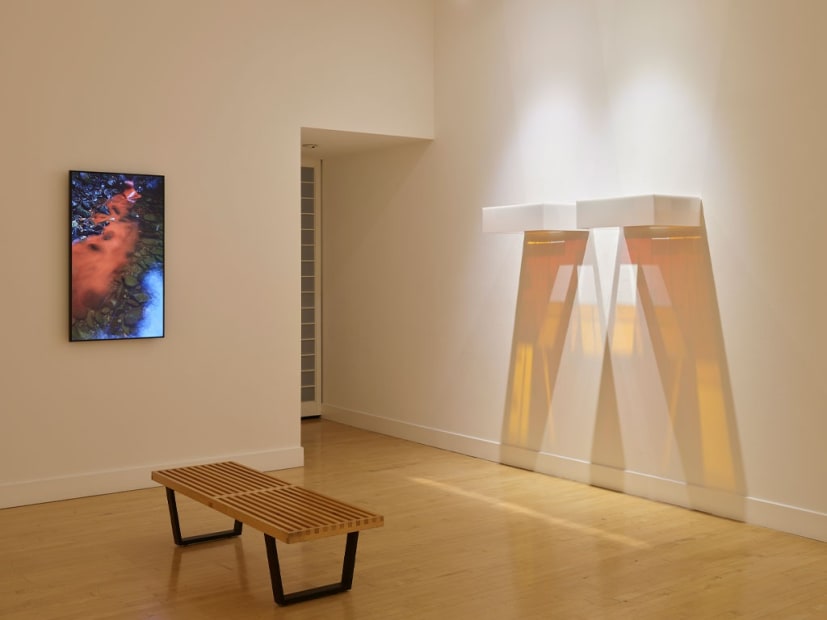 Installation view of Chromotherapy, July 8 - September 5, 2021 at Haines Gallery, San Francisco Photo: Robert Divers Herrick
