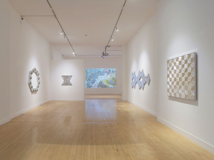 Installation view of Kaleidoscope Eyes, April 4 - June 29, 2019 at Haines Gallery, San Francisco Photo: Robert Divers Herrick