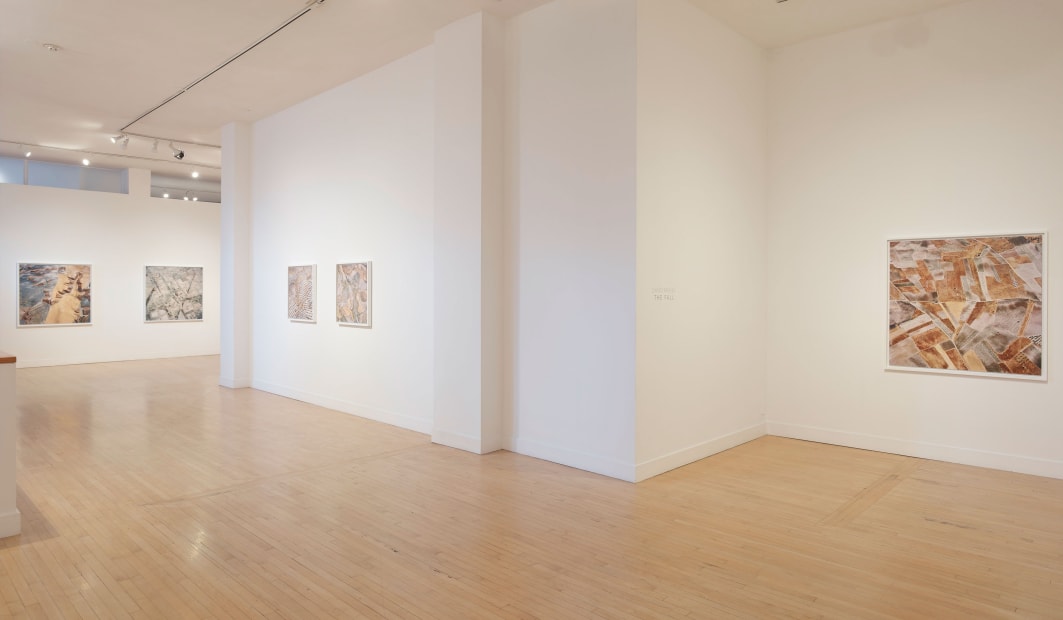 Installation view of David Maisel: The Fall, January 7 - March 12, 2016 at Haines Gallery, San Francisco