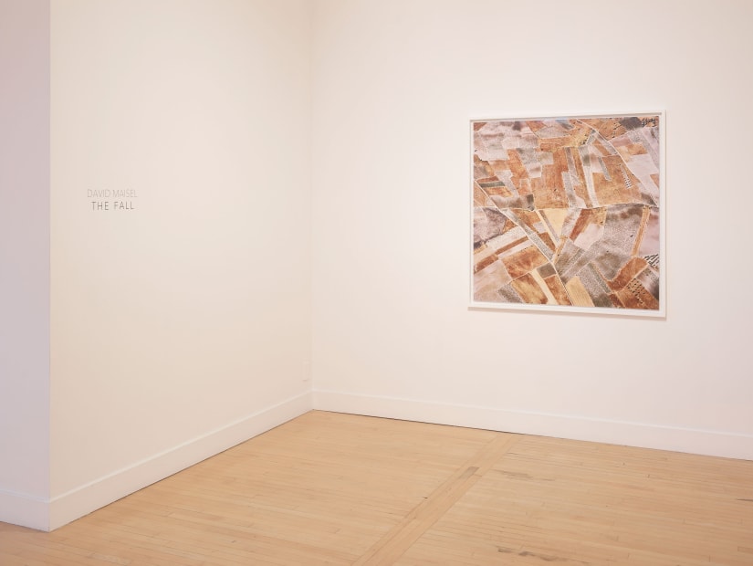 Installation view of David Maisel: The Fall, January 7 - March 12, 2016 at Haines Gallery, San Francisco