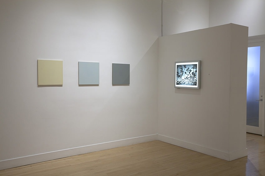 Installation view of Goethe's Chamber, January 8 - March 14, 2015 at Haines Gallery, San Francisco