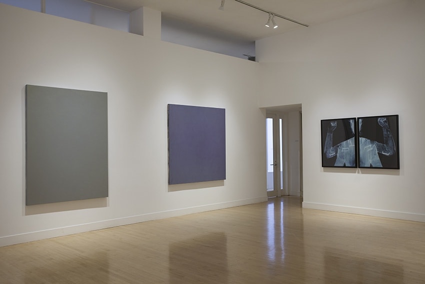 Installation view of Goethe's Chamber, January 8 - March 14, 2015 at Haines Gallery, San Francisco